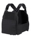 TT Plate Carrier LC Oliv