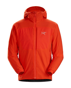 Arc'teryx PRO Practitioner AR Hoody Men's Dynasty