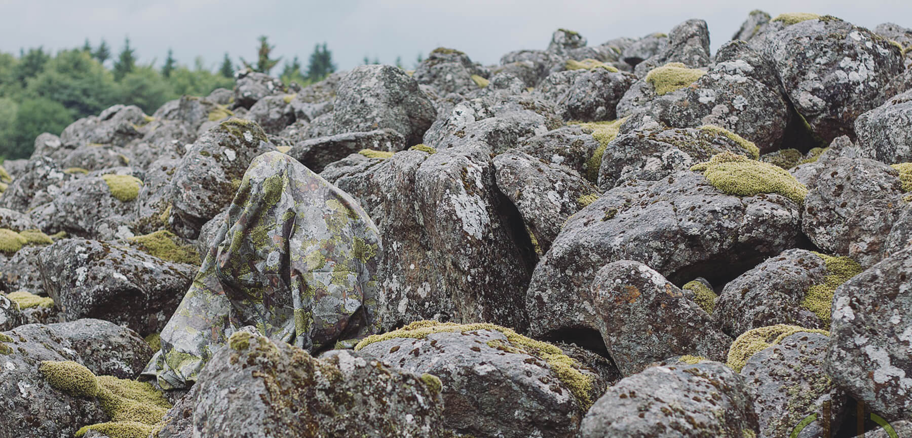 jerven bag exclusive